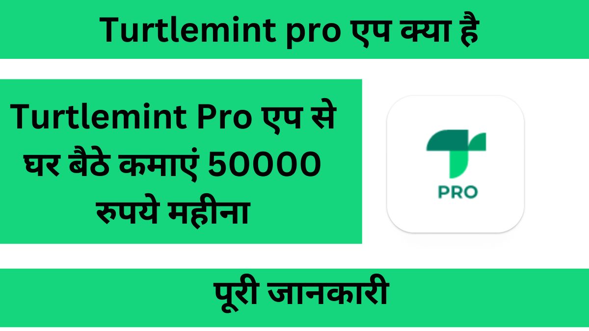 Turtlemint Pro